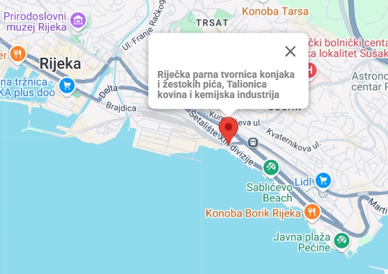 Slika 11